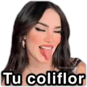 Stika