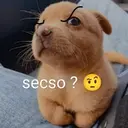 สติกเกอร์