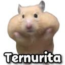 Figurinha