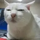 Çıkartma