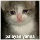 Çıkartma