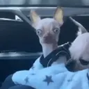 스티커