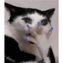 Samolepka