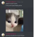 Stika