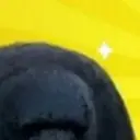 Pelekat