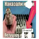 استیکر