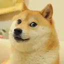 Nhãn dán