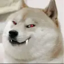 Nhãn dán