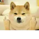 Nhãn dán