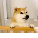 Nhãn dán