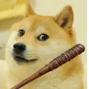 Nhãn dán