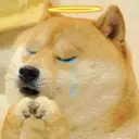 Nhãn dán