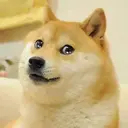 Nhãn dán