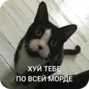 Наліпка