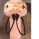स्टिकर