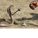 स्टिकर
