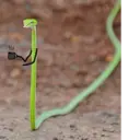 स्टिकर