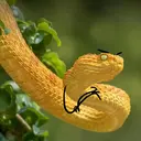 स्टिकर