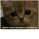 Límmiði