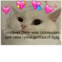 Límmiði