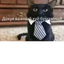 Límmiði