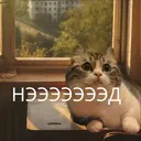 Límmiði