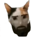 Adhesiu