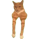 Adhesiu