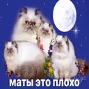 Стикер