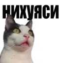 Налепница