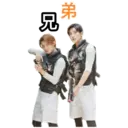 Sticker
