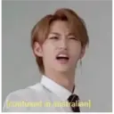 贴纸