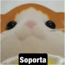 Límmiði