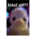 Límmiði