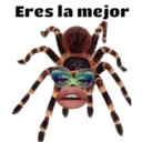 ਸਟਿਕਰ