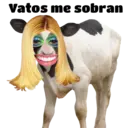 ਸਟਿਕਰ