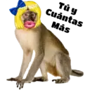 ਸਟਿਕਰ