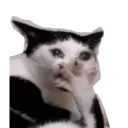מדבקה