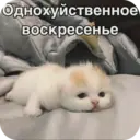 Стикер