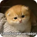 Стикер