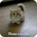 Стикер