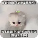 Стикер