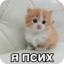 Стикер