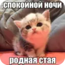 Стикер