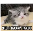 Стикер
