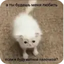 Стикер