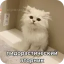 Стикер