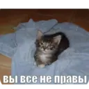 Стикер