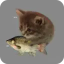 Стикер