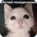 Стикер